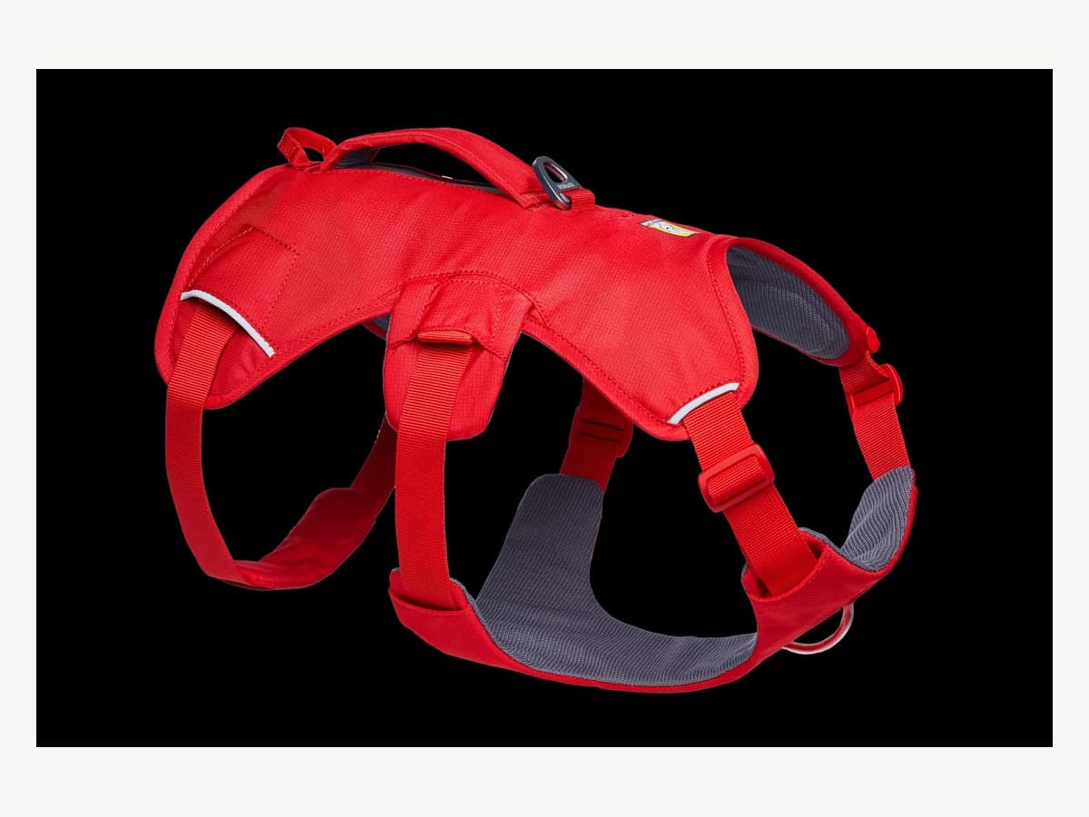 Web Master™ Dog Harness with Handle