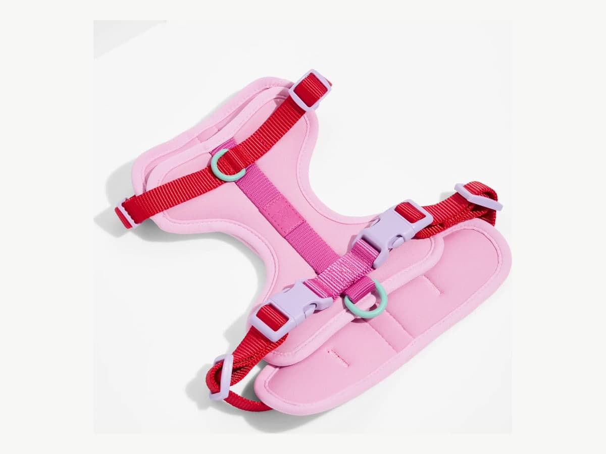 Cushioned Dog Harness