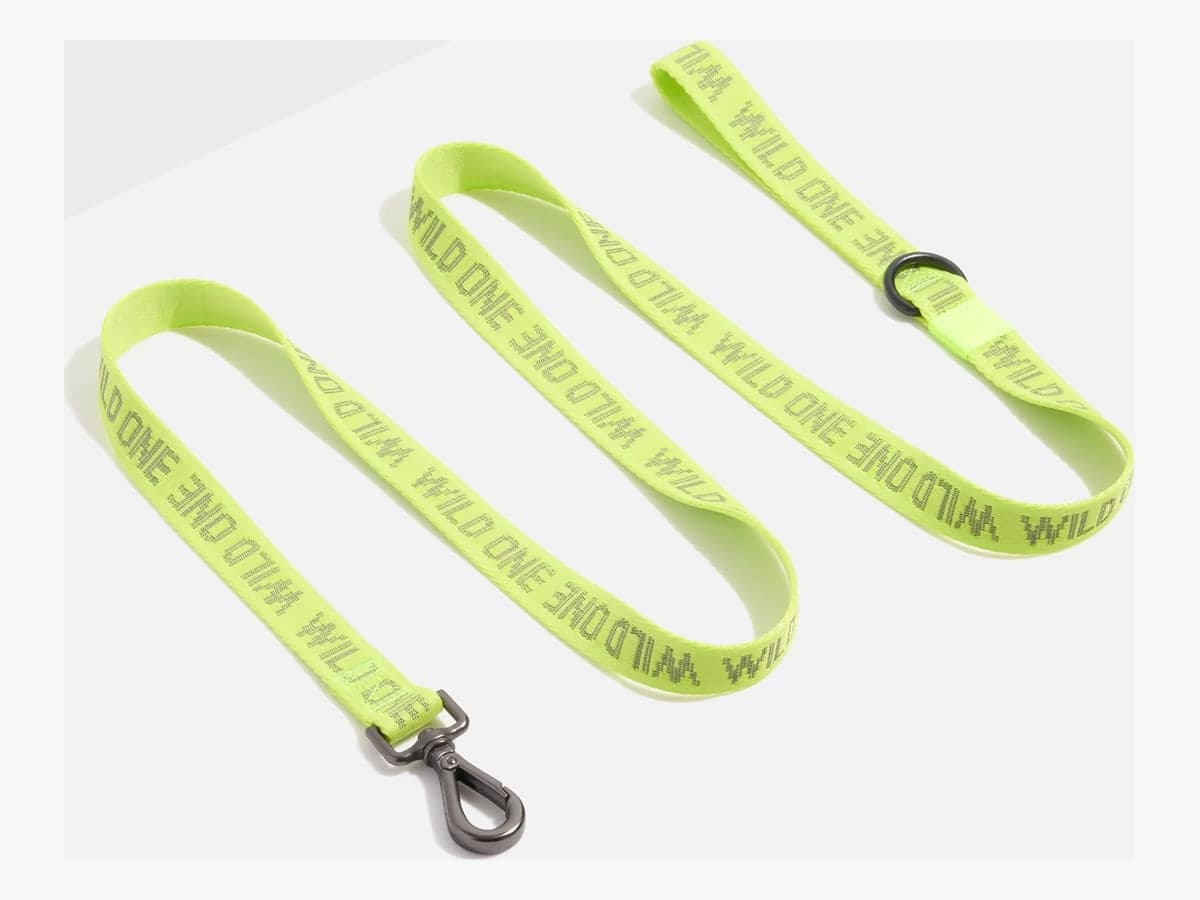 Lightweight Dog Leash