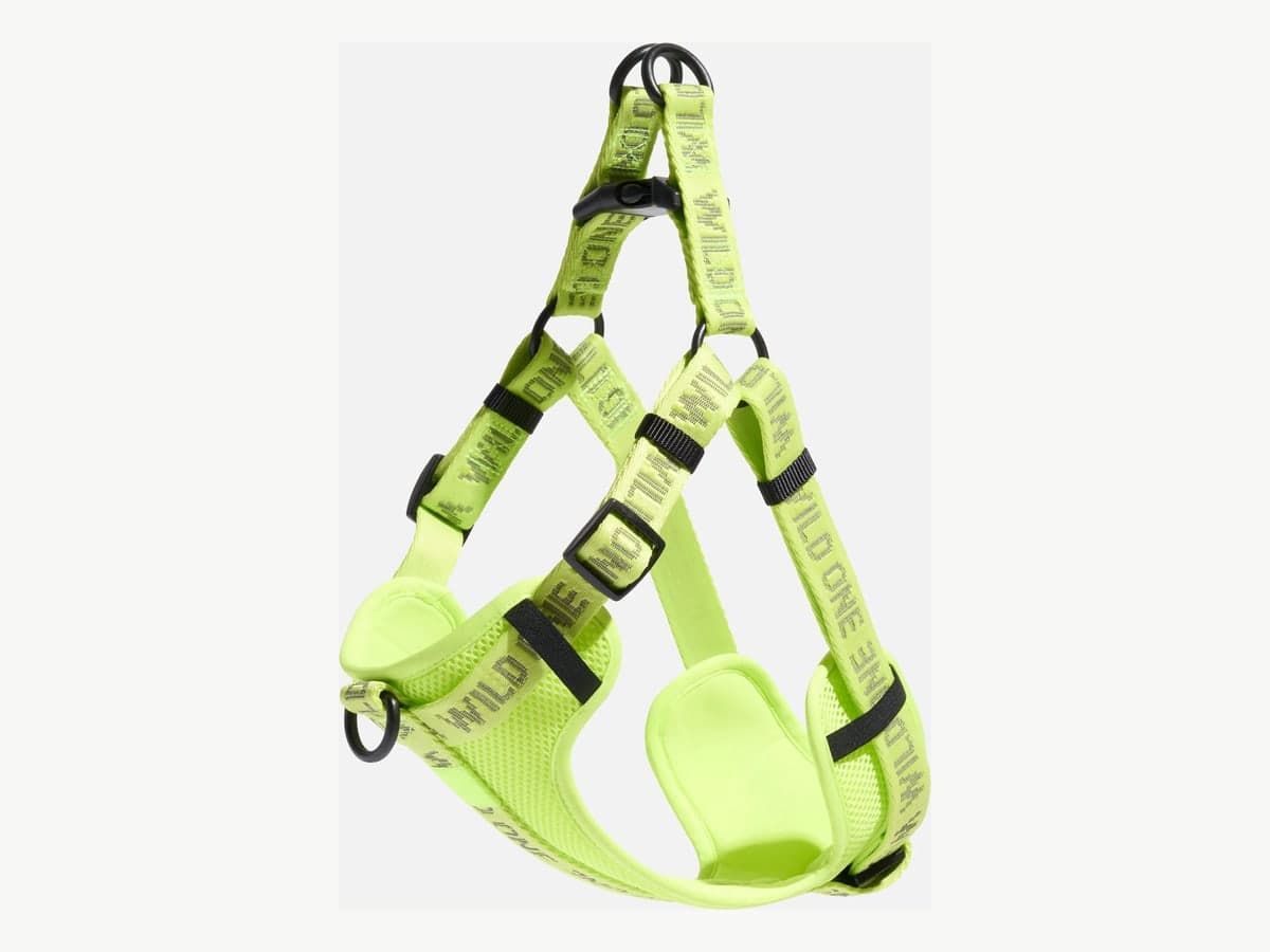 Step-In Dog Harness