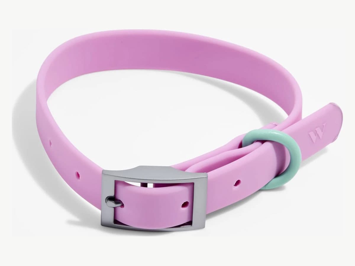 Waterproof Dog Collar