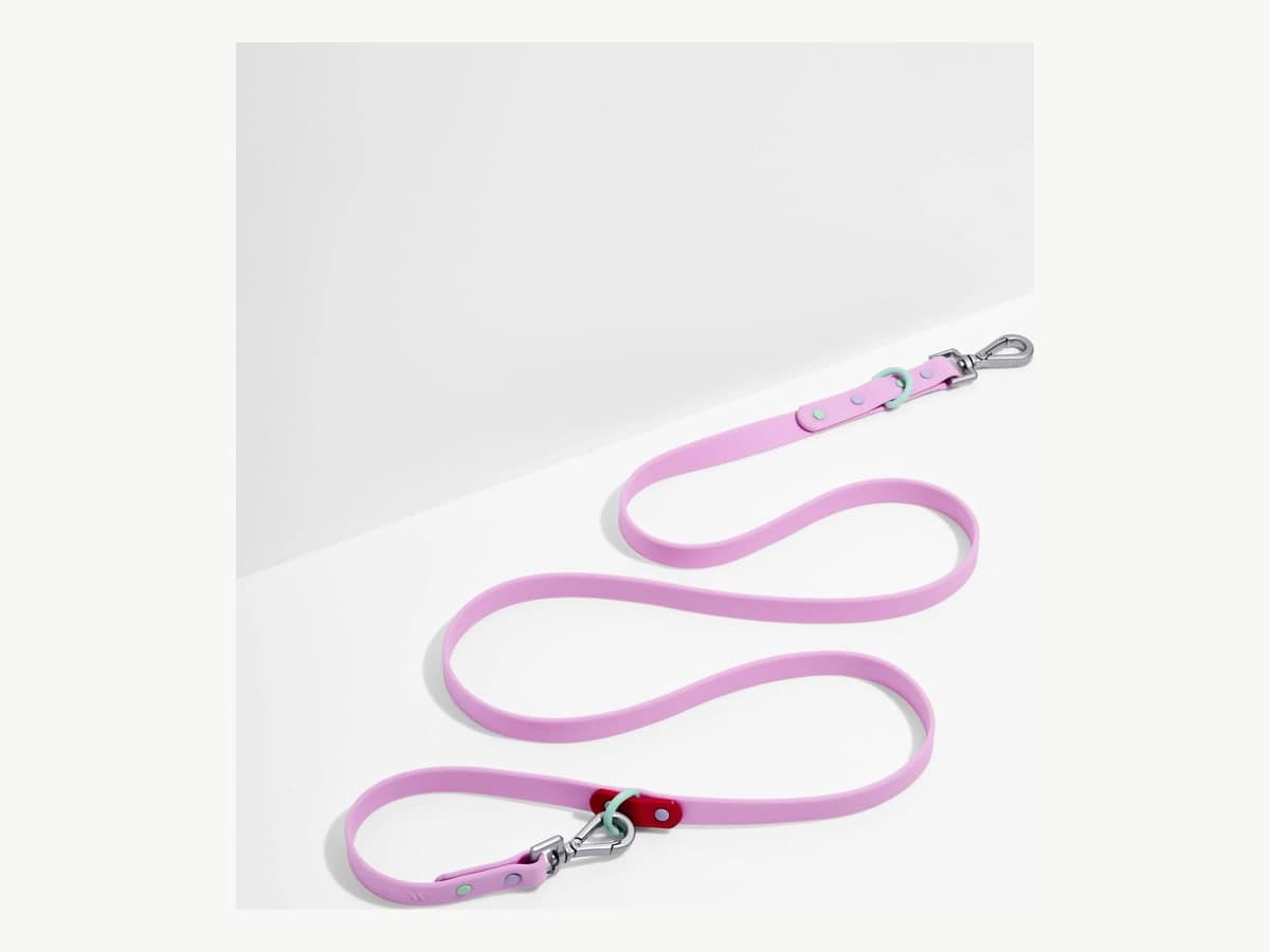 Waterproof Dog Leash